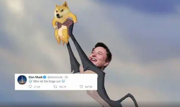 elon musk tweet om dogecoin elon musk tweet om dogecoin